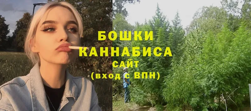 ссылка на мегу tor  Звенигород  МАРИХУАНА SATIVA & INDICA 